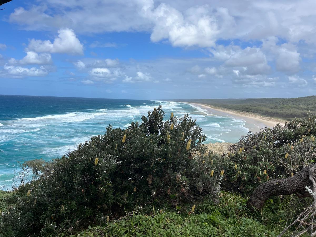 DATE CHANGE Straddie - Mt Bippo -DW M T2F3