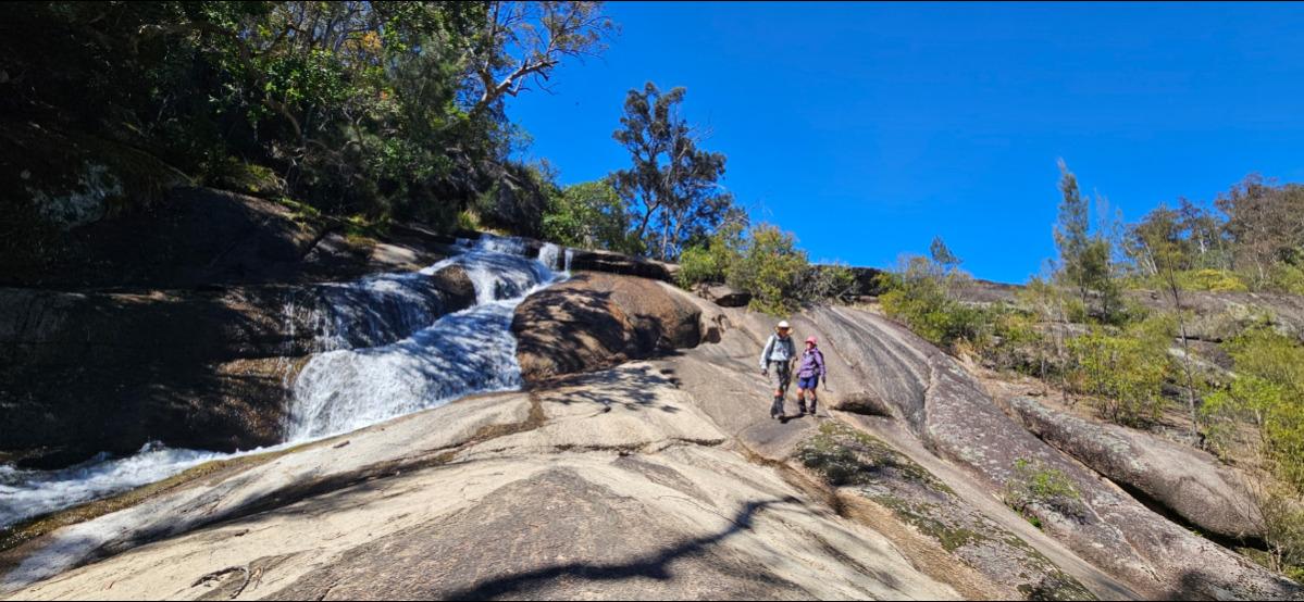 BC OT T3/T5 F3/F5 Basket Swamp NP (NSW Tenterfield)